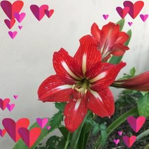 Meet your Posher, Ines